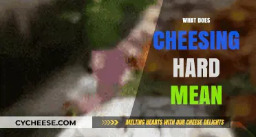 Decoding 'Cheesing Hard': Understanding the Slang and Its Cultural Impact
