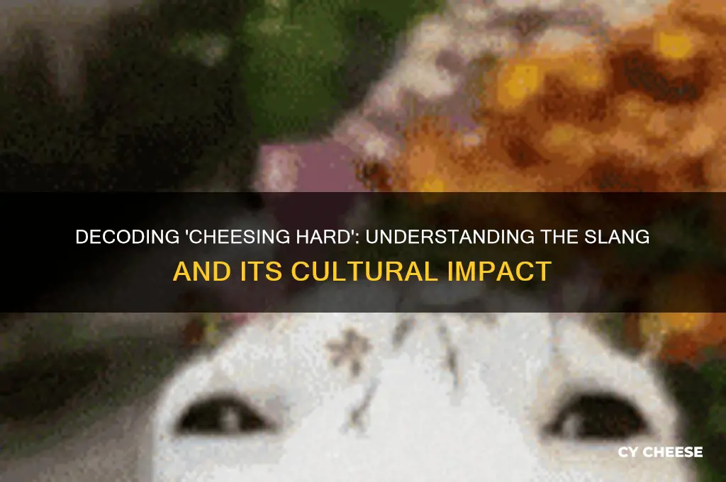what does cheesing hard mean