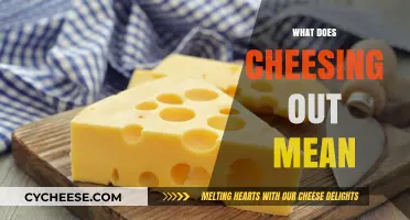 Understanding the Slang: What Does 'Cheesing Out' Really Mean?