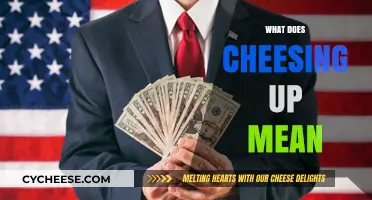 Understanding the Slang: What Does 'Cheesing Up' Really Mean?