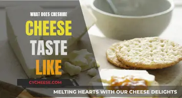 Cheshire Cheese: A Tangy, Rich, and Creamy Adventure