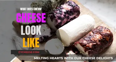 Goat Cheese Appearance: Chevre Cheese Explained