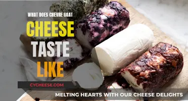 Goat Cheese Connoisseur: Chevre's Tangy, Creamy Taste