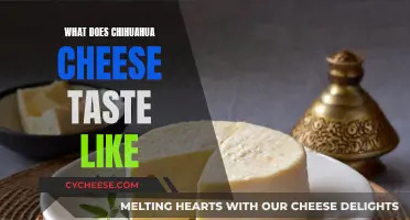 Chihuahua Cheese: A Unique, Mild, and Milky Taste