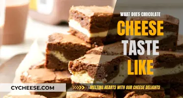 Chocolate Cheese: A Match Made in Heaven?