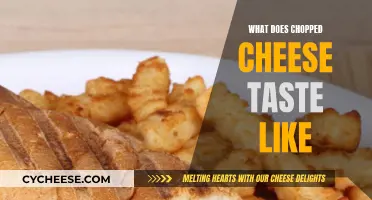 Chopped Cheese: A Unique, Mouthwatering New York Delicacy