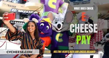 Salary Insights: Chuck E. Cheese's Pay Rates Revealed