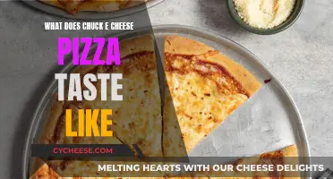 The Taste of Chuck E. Cheese's Pizza: A Review