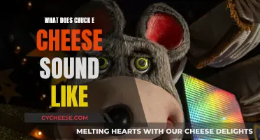 The Sonic Profile of Chuck E. Cheese