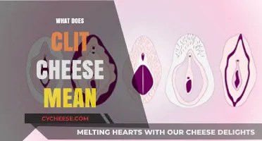 Understanding Clit Cheese: Origins, Meaning, and Cultural Context Explained