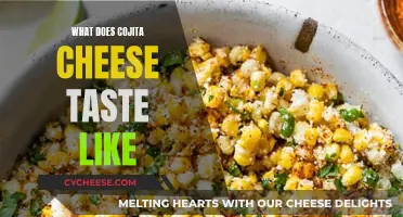The Unique Taste of Cotija Cheese Explained