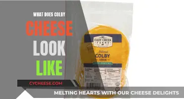 Colby Cheese: Appearance, Texture, and Color