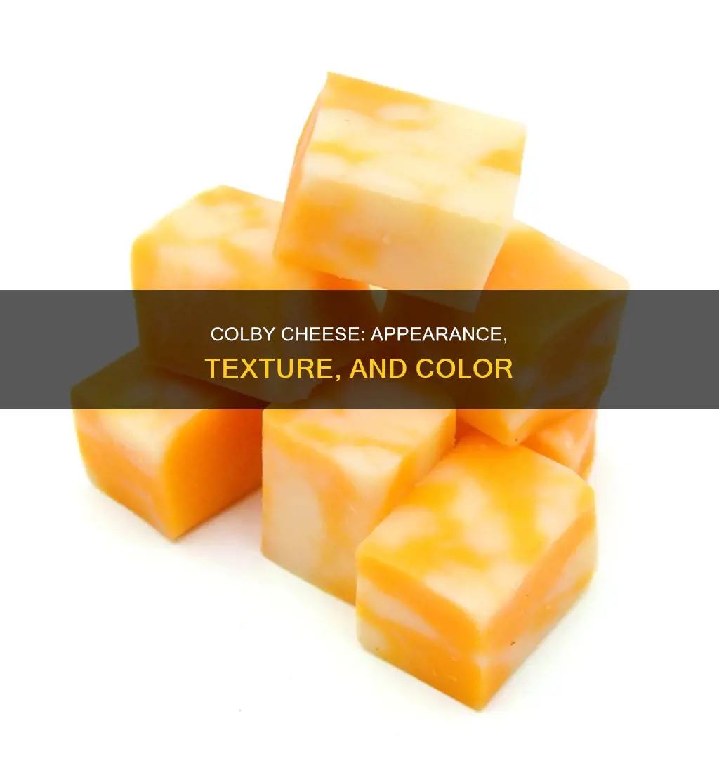 what does colby cheese look like