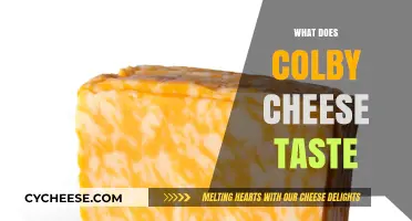 Exploring the Rich, Nutty, and Mild Flavor of Colby Cheese
