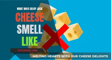The Smell of Colby-Jack Cheese: A Tangy, Buttery Aroma