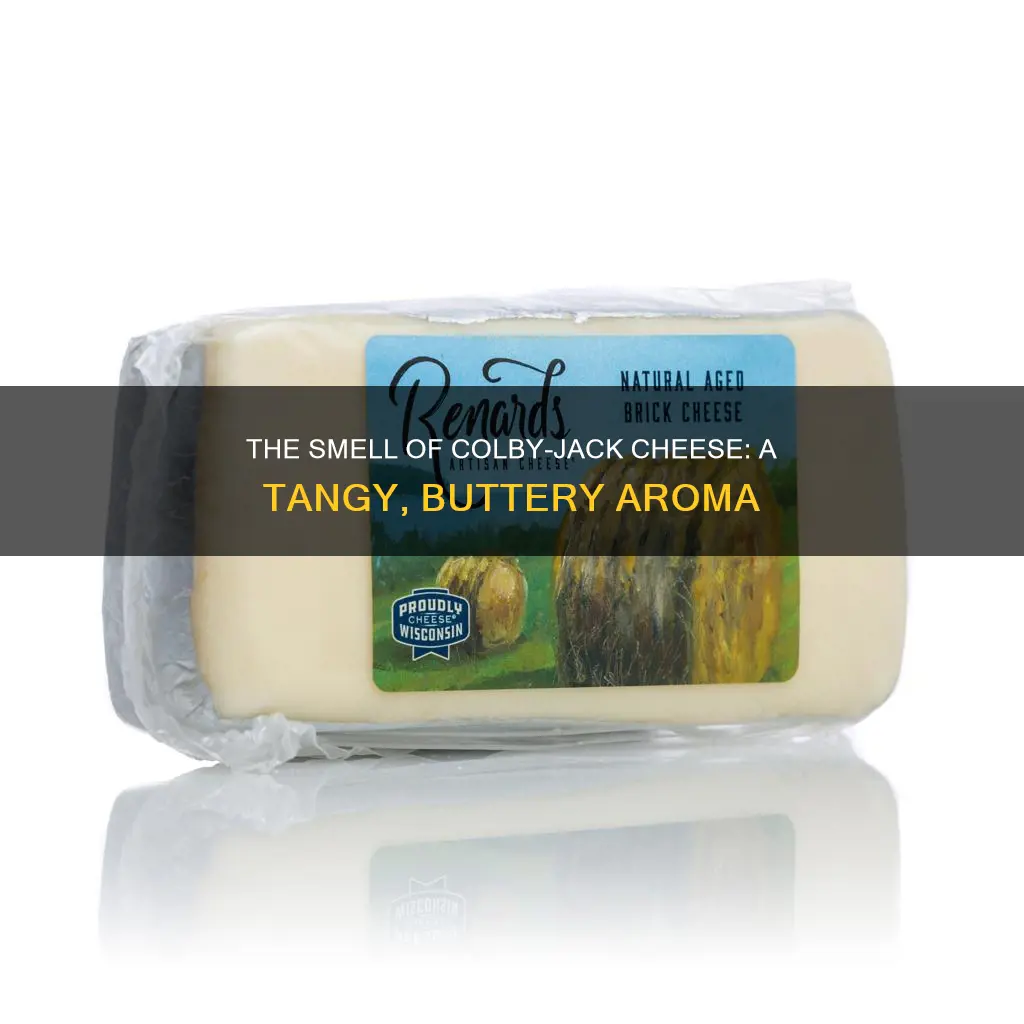 what does colby jack cheese smell like