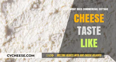 Exploring the Unique Flavor Profile of Commercial Cottage Cheese