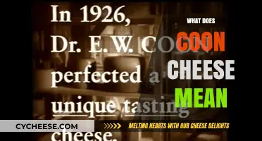 Unraveling the Mystery: What Does Coon Cheese Mean and Its Origins?