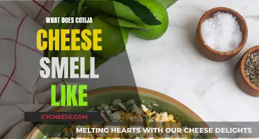 The Aroma of Cotija Cheese: What's That Smell?