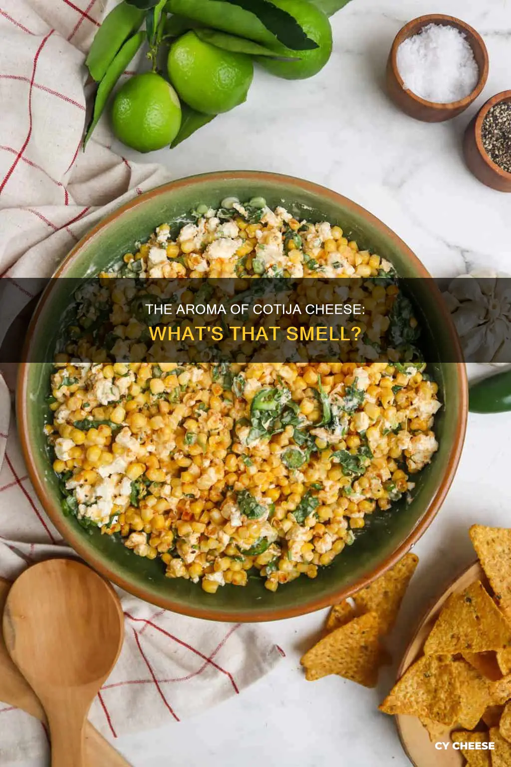 what does cotija cheese smell like