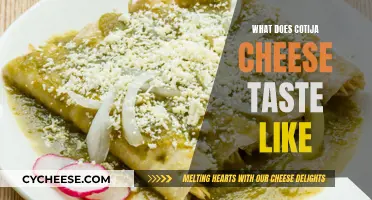 The Unique, Nutty, and Salty Flavor of Cotija Cheese