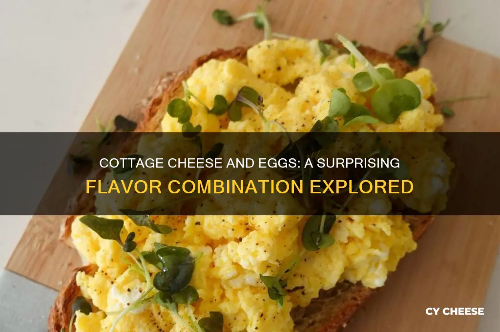 what does cottage cheese and eggs taste like