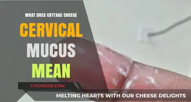 Understanding Cottage Cheese-Like Cervical Mucus: Causes, Concerns, and Care
