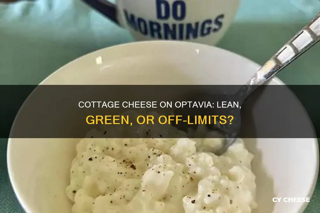 what does cottage cheese count as on optavia