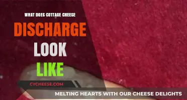 Understanding Cottage Cheese-Like Discharge: Appearance, Causes, and When to Worry