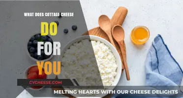 Cottage Cheese Benefits: Nutrition, Health, and Wellness Explained