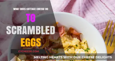 Cottage Cheese in Scrambled Eggs: Texture, Taste, and Benefits Explained