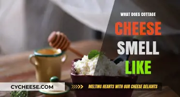 Unveiling the Unique Aroma: What Does Cottage Cheese Smell Like?
