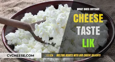 Exploring Cottage Cheese: A Mild, Creamy, Tangy Taste Adventure