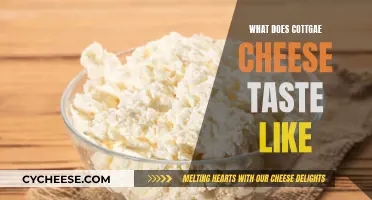 Cottage Cheese: A Taste Exploration