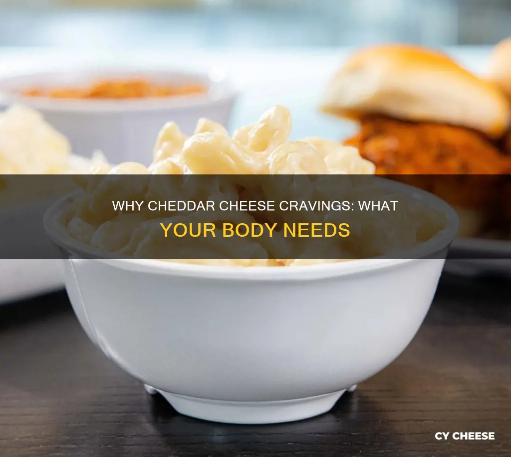 what does craving cheddar cheese mean