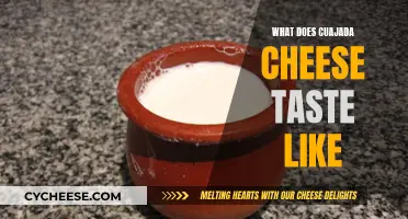 Cuajada Cheese: A Taste of Spain's Rich Dairy Heritage