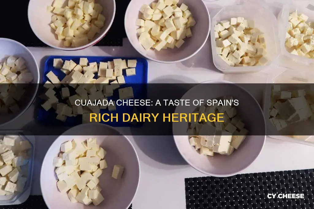 what does cuajada cheese taste like