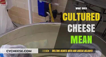Understanding Cultured Cheese: Definition, Process, and Unique Flavor Profile