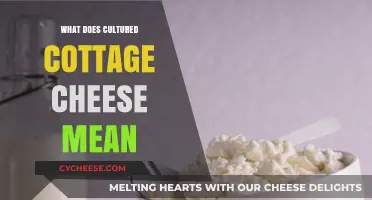 Understanding Cultured Cottage Cheese: Meaning, Benefits, and How It's Made