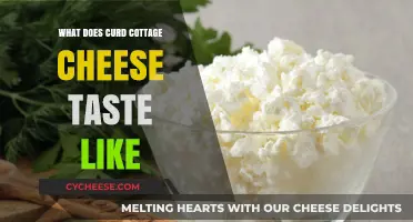 Exploring the Creamy, Tangy Flavor of Curd Cottage Cheese