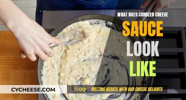 Curdled Cheese Sauce: What Went Wrong?