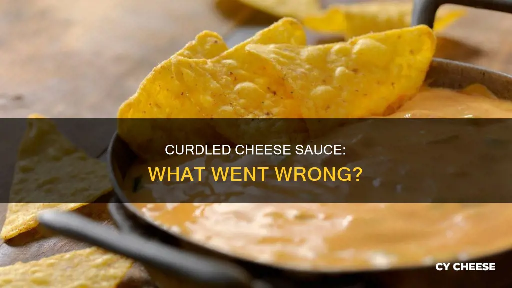 what does curdled cheese sauce look like