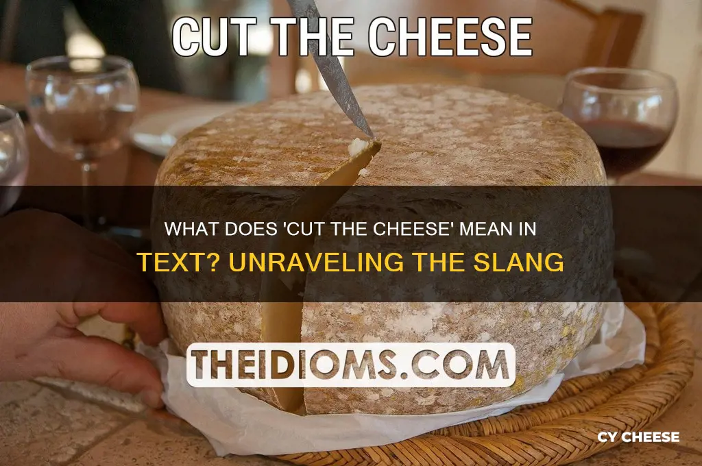 what does cut the cheese mean in text