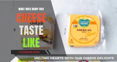 Exploring the Tasty World of Dairy-Free Cheese: A Taste Test