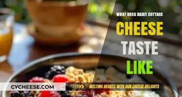 Discovering the Creamy, Tangy Flavor of Daisy Cottage Cheese