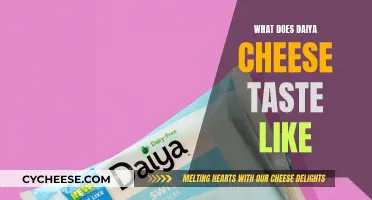 Exploring Daiya's Creamy Vegan Cheese: A Tasty Adventure