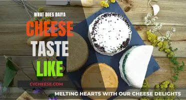 Daiya Cheese: Taste and Texture Review