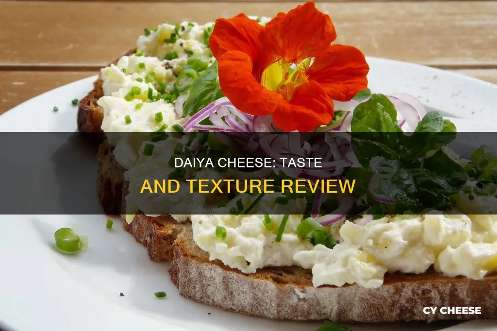 what does daiya cheese taste like