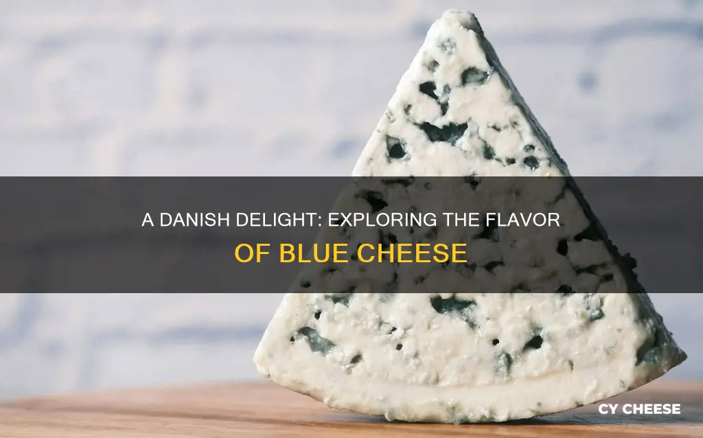 what does danish blue cheese taste like