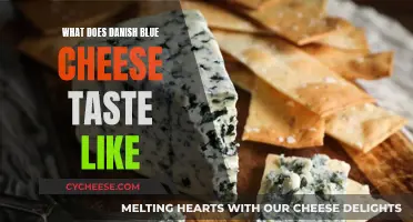 Danish Blue Cheese: A Pungent, Salty, and Creamy Delight